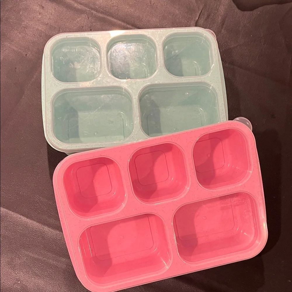 Bento boxes Pink and Green Food Storage Containers